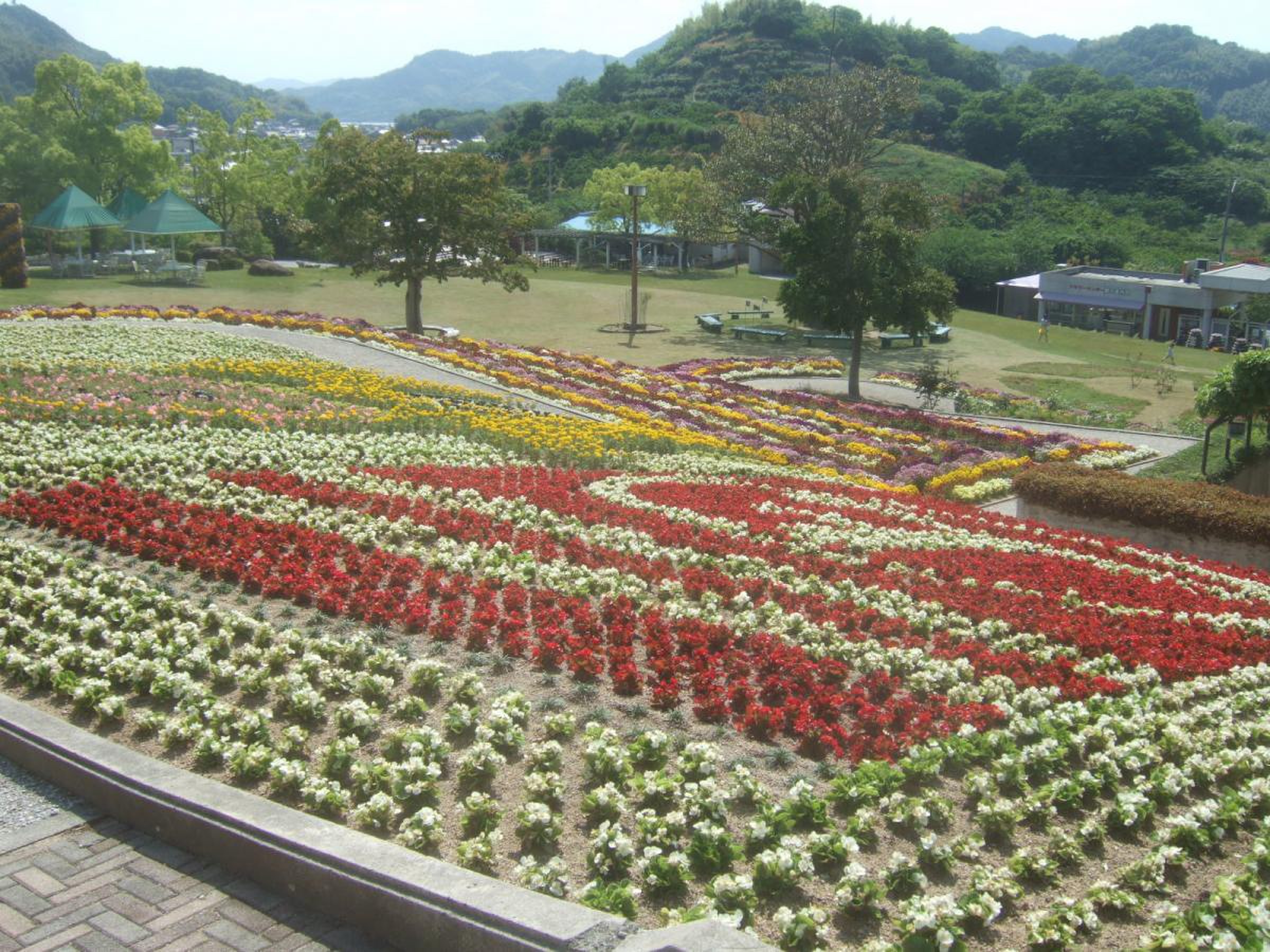 因島 フラワー センター