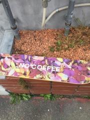 ノー・コーヒー