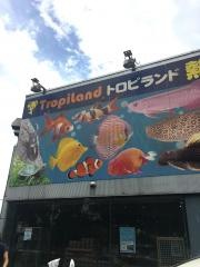 トロピランド小平店
