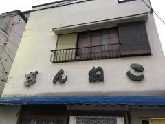 ぎんねこ