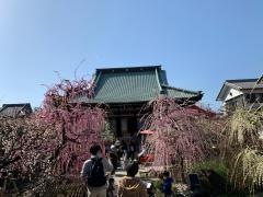 光受寺