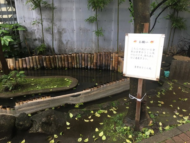 青葉台さくら苑