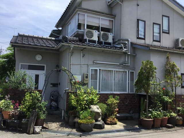 ひまわり