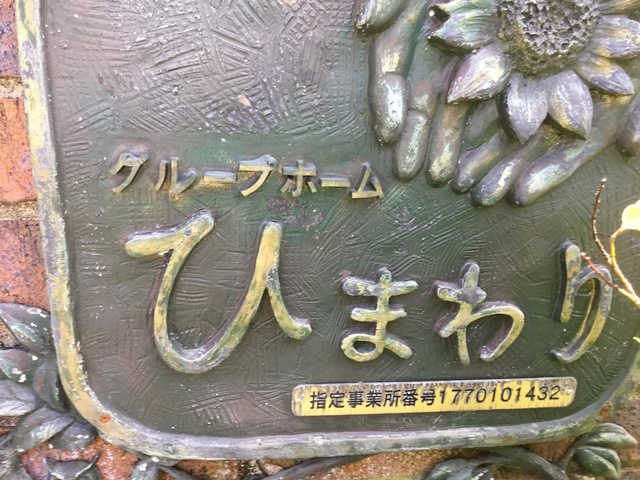 ひまわり