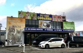 ペットショップＣｏｏ＆ＲＩＫＵ　秋田店