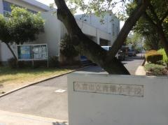 青葉小学校