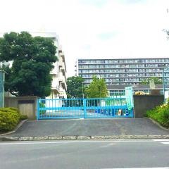 大豆戸小学校