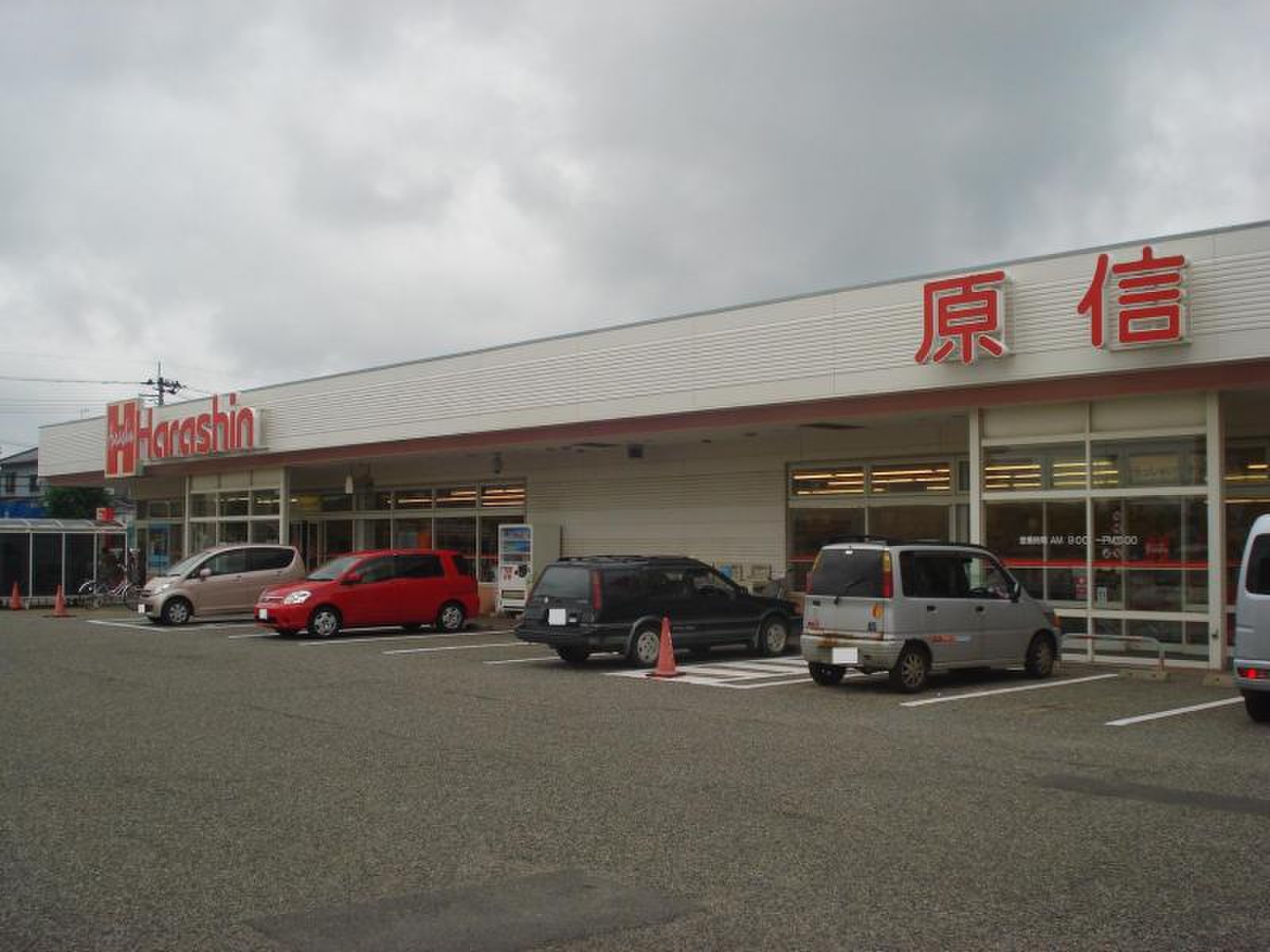 活動歴および当時の関連ビジュアル記録