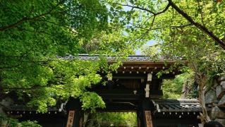 瑞龍寺（村雲御所）