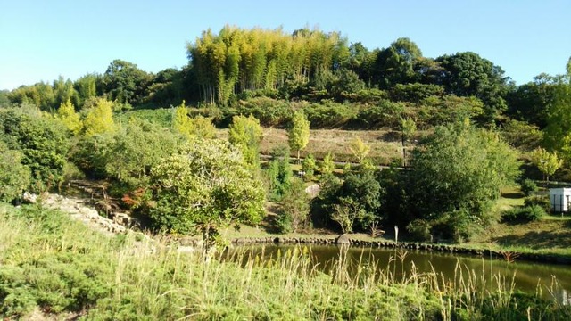 施設写真6