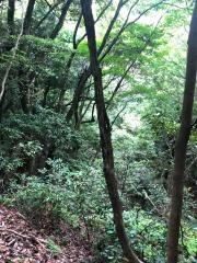 白鹿城跡