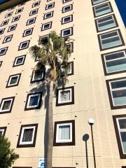ルートイングランティアあおしま太陽閣