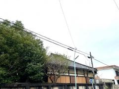 金蓮寺