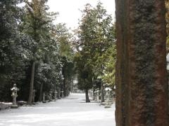御霊神社