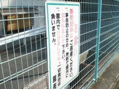 どうえん吉和認定こども園