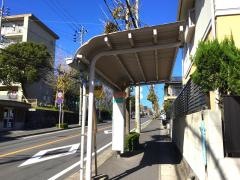 「中央公園前(鹿児島市)」バス停留所