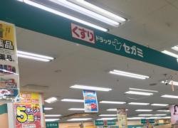 ココカラファイン・ドラッグセガミ　蓮田店