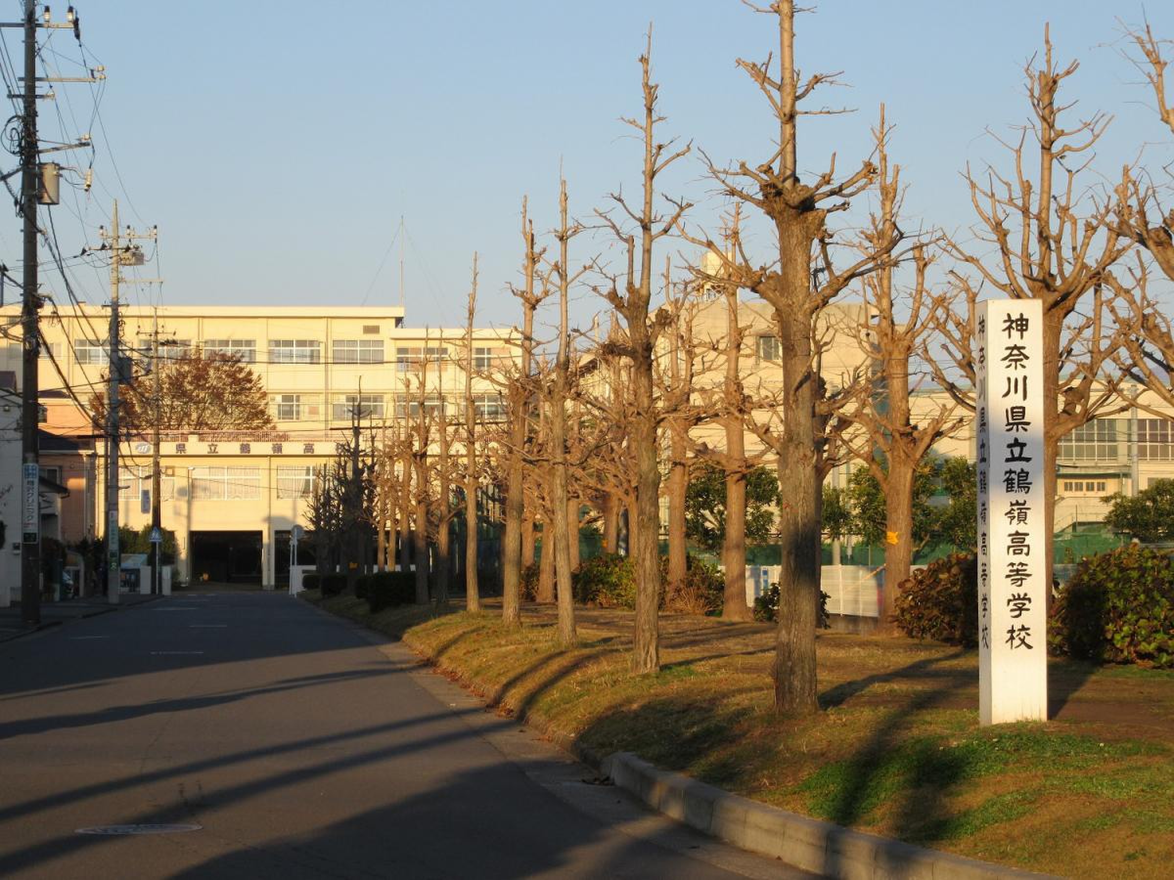 鶴 嶺 高校