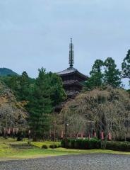 醍醐寺