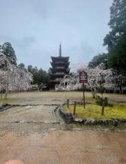 醍醐寺