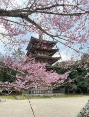 醍醐寺