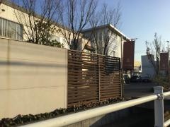 アムボエル（ａｍｂｏｅｌ）