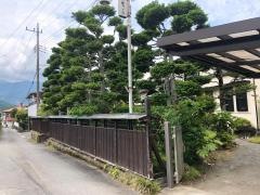 佐野医院
