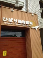 ひばり動物病院