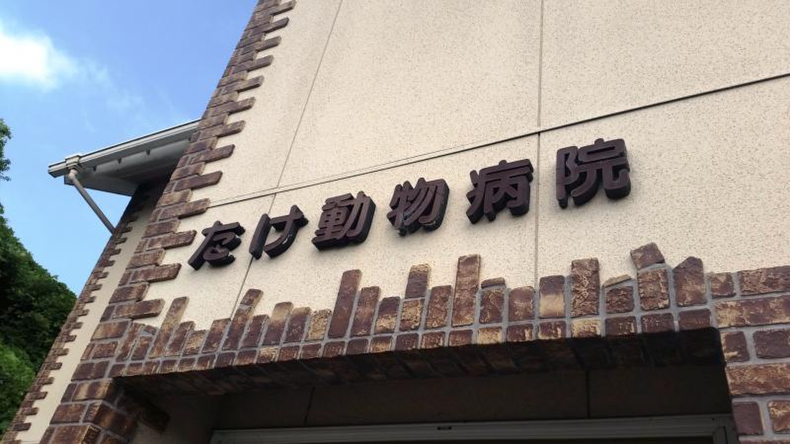 たけ 動物 病院