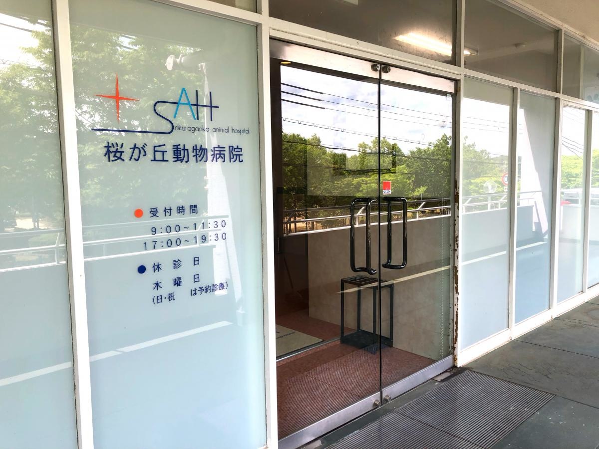桜が丘動物病院