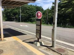「理学部自然史標本館前」バス停留所
