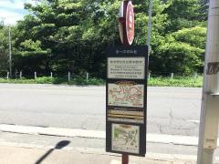 「理学部自然史標本館前」バス停留所