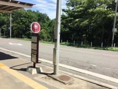「理学部自然史標本館前」バス停留所