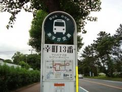 「１３番」バス停留所
