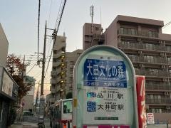「大田文化の森」バス停留所