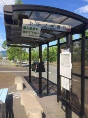 「トチノキ通り」バス停留所