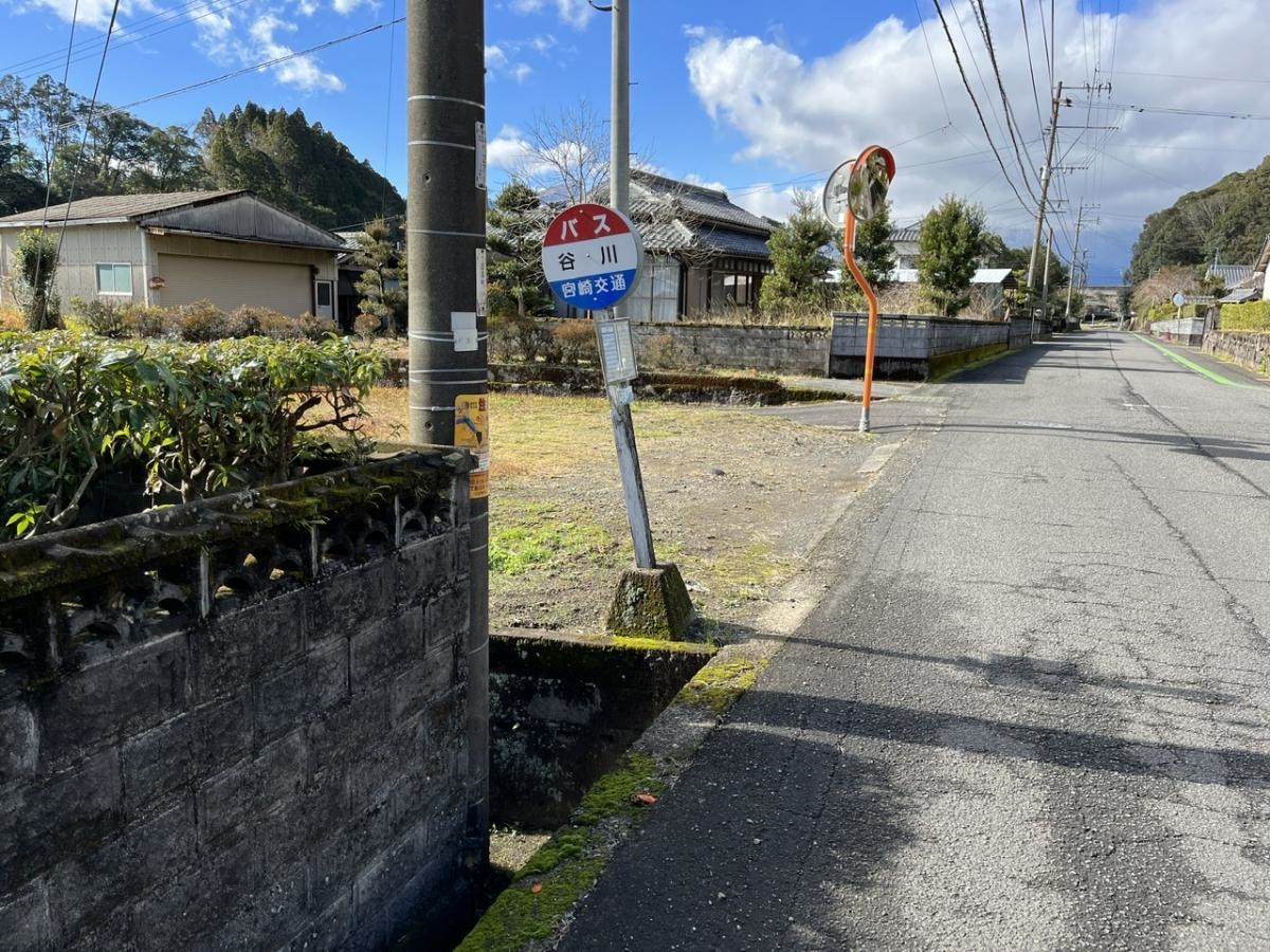 全景です。