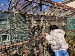 河口湖猿まわし劇場