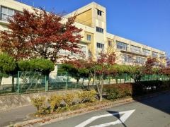 泉小学校