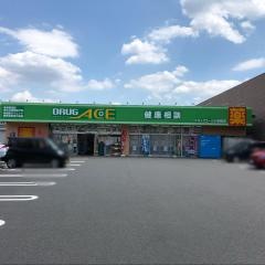 ドラッグ・エース小谷田店