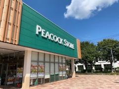 ピーコックストア豊四季店