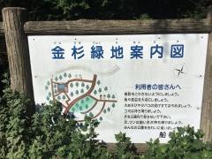 金杉緑地