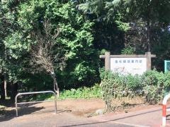 金杉緑地