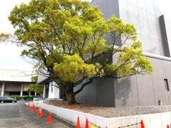 佐賀県立美術館