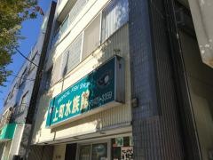 ペットショップ上町水族館