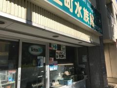 ペットショップ上町水族館