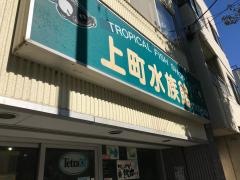 ペットショップ上町水族館