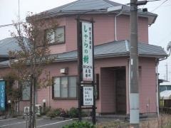 しゃらの樹