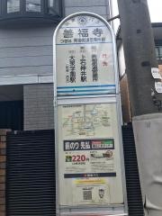 「善福寺」バス停留所