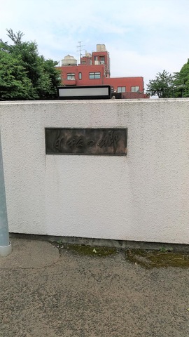 白松